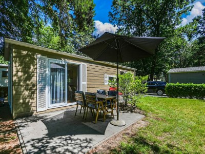 Chalet Modern chalet in Voorthuizen near the forest - Outdoor photo 3