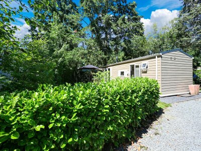 Chalet Modern chalet in Voorthuizen near the forest - Outdoor photo 8