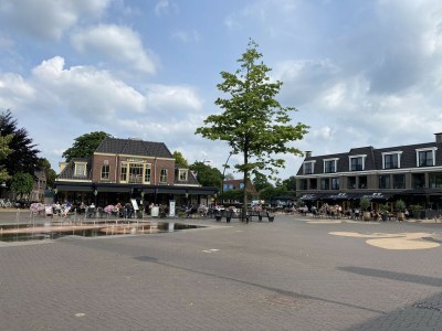 Chalet Modern chalet in Voorthuizen near the forest - Environment photo 28