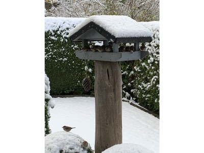 Holiday house "Schlossblick". - Outdoor photo 14