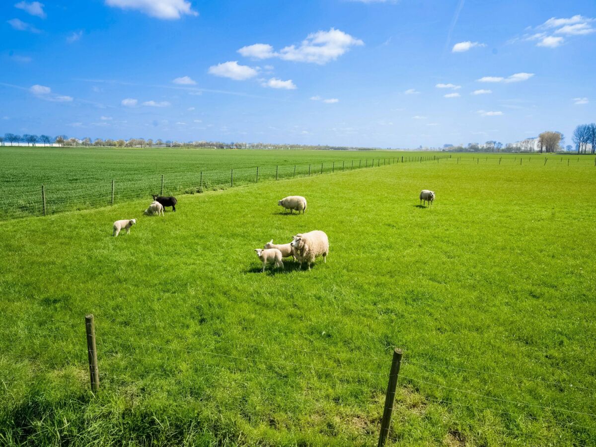 Farmhouse Bauernhaus in Genderen mit Terrasse - Outdoor photo 3