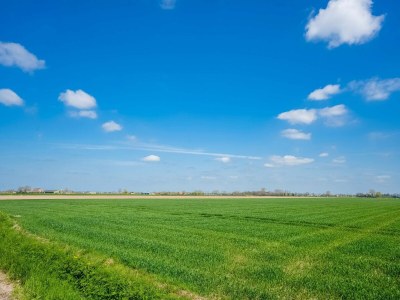 Farmhouse Bauernhaus in Genderen mit Terrasse - Environment photo 38