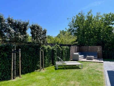 Villa Villa on Texel near Forest & Trails - Outdoor photo 5