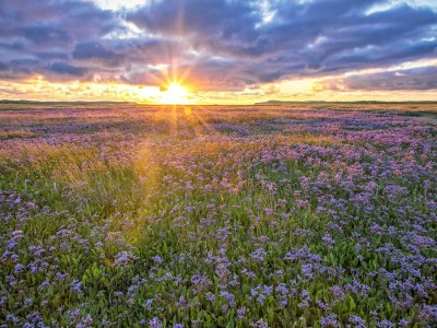 Villa Villa on Texel near Forest & Trails - Environment photo 36