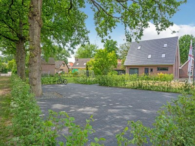 Villa Group House in Lemele near Heuvelrug - Outdoor photo 3