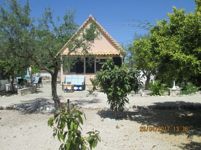 Holiday house Spacious chalet on a plot of 4000m2 with fruit trees near the beach in Messinia - Holiday house