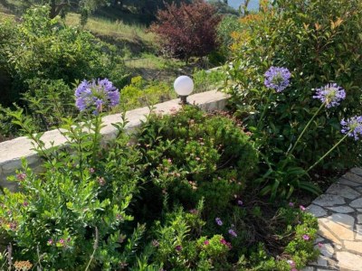 Villa Villa auf Korfu nahe Porto Timoni Strand - Outdoor photo 12