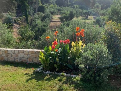 Villa Villa auf Korfu nahe Porto Timoni Strand - Outdoor photo 13