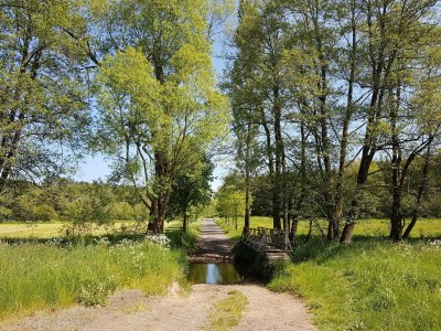 Holiday house Rühlen: Schneifel Escape - Environment photo 31