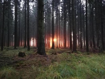 Holiday house Rühlen: Schneifel Escape - Environment photo 35