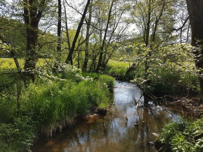 Holiday house Rühlen: Schneifel Escape - Environment photo 36