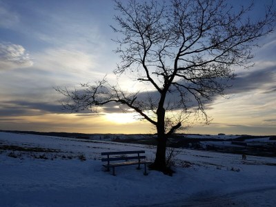 Holiday house Rühlen: Schneifel Escape - Environment photo 38