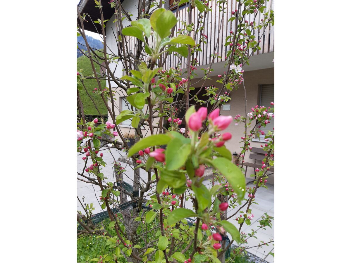 Holiday house Ferienhus Klus 415 - Outdoor photo 4