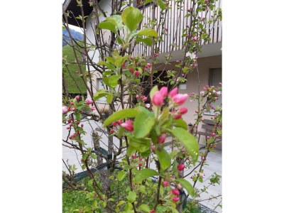 Holiday house Ferienhus Klus 415 - Outdoor photo 4