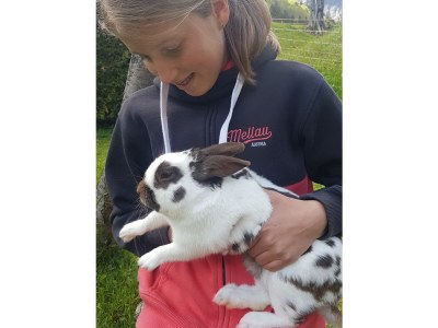 Holiday house Ferienhus Klus 415 - Environment photo 48