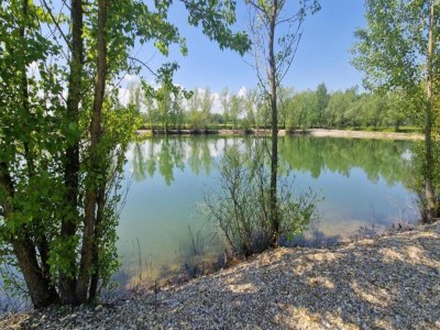 Villa Villa in Medvidici mit Pool nahe Porec Strand - Environment photo 29