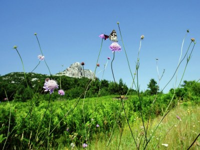 Holiday house Ferienhaus in Lovinac bei Plitvicer Seen - Environment photo 13