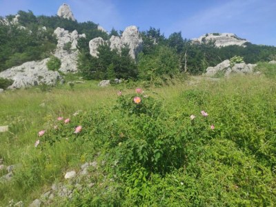 Holiday house Ferienhaus in Lovinac bei Plitvicer Seen - Environment photo 29