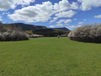 Holiday house Ferienhaus in Lovinac bei Plitvicer Seen - Environment photo 32