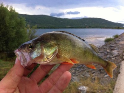 Holiday house Ferienhaus in Lovinac bei Plitvicer Seen - Environment photo 35