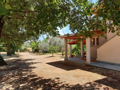 Apartment Ferienhaus in Banjole am Meer - Outdoor photo 14