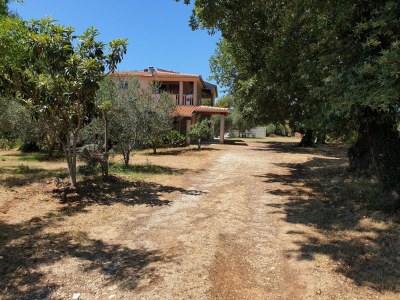 Apartment Ferienhaus in Banjole am Meer - Outdoor photo 15