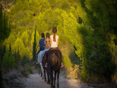 Apartment Apartment in Pridvorje near Pasjaca Beach - Environment photo 20