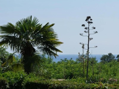 Villa Villa in Novigrad with Pool & Rooftop Terrace - Environment photo 35