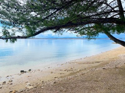 Apartment Charming Countryside Escape - Environment photo 22