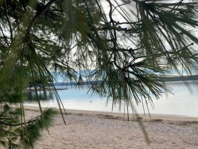 Apartment Charming Countryside Escape - Environment photo 24