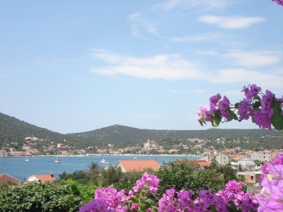 Apartment Küstenkomfort in Vinišće - Outdoor photo 22