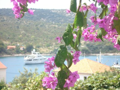 Apartment Küstenkomfort in Vinišće - Outdoor photo 41