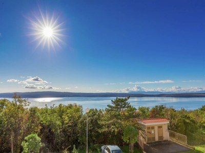 Apartment Ferienhaus in Kroatien mit Pool im Wald - Outdoor photo 8