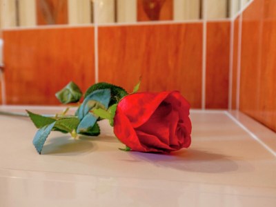 Apartment Ferienhaus in Kroatien mit Pool im Wald - Outdoor photo 31