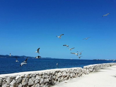 Apartment Wohnung in Bibinje nahe Kiesstrand - Environment photo 33