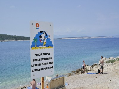 Apartment Apartment in Šilo with Sea View Balcony - Environment photo 34
