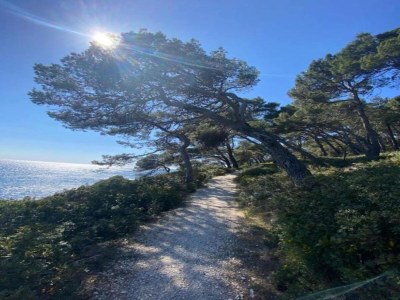 Apartment Banjole Cozy Family Retreat - Environment photo 26