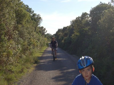 Apartment Apartment in Veli Rat near Beaches - Outdoor photo 17