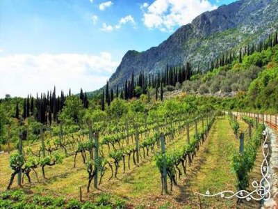 Apartment Moderner Aufenthalt in der Nähe von Cavtat - Environment photo 16
