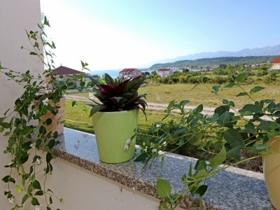 Apartment Küstenurlaub in Ljubač - Outdoor photo 13