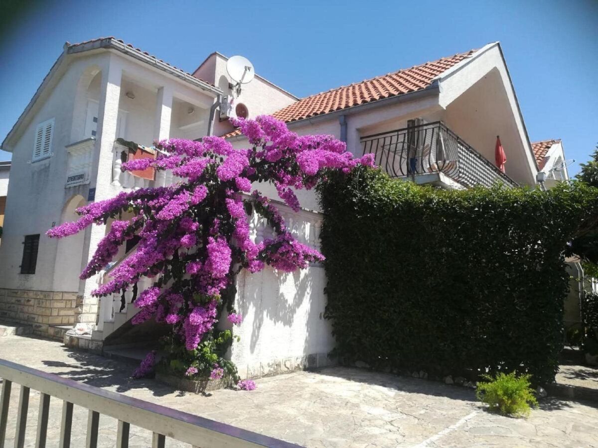 Apartment Apartment in Petrcane by the Sea - Outdoor photo 3