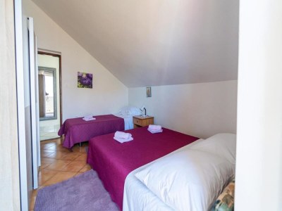 Apartment Apartment in Petrcane by the Sea - Features photo 16