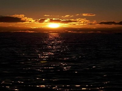 Apartment Apartment in Petrcane by the Sea - Environment photo 36