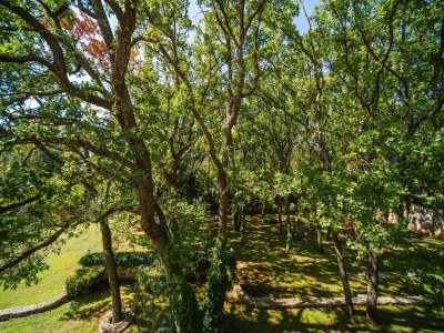 Villa Villa in Čilipi near Dubrovnik with Pool - Outdoor photo 6