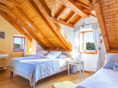 Villa Heritage Villa in der Nähe von Milna mit Privatpool - Features photo 18