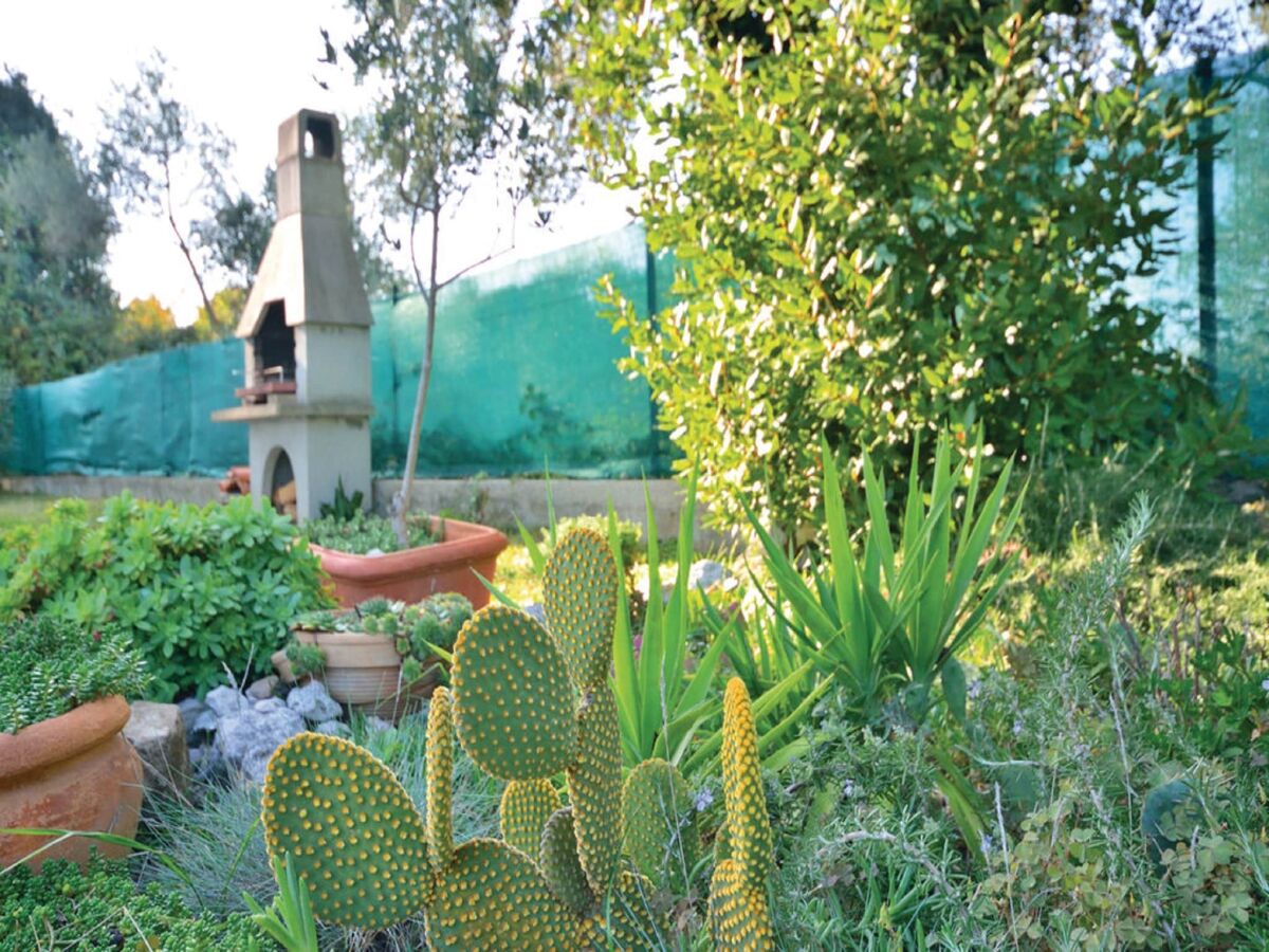 Holiday house Geräumiges Ferienhaus in Bibinje mit Garten - Outdoor photo 4