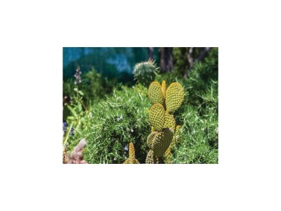 Holiday house Geräumiges Ferienhaus in Bibinje mit Garten - Outdoor photo 16