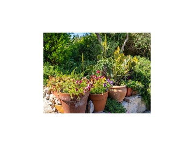 Holiday house Geräumiges Ferienhaus in Bibinje mit Garten - Features photo 32