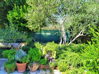 Holiday house Geräumiges Ferienhaus in Bibinje mit Garten - Features photo 45