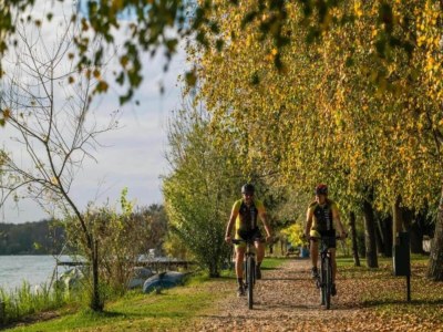 Apartment Romantisches Wald-Retreat - Environment photo 30